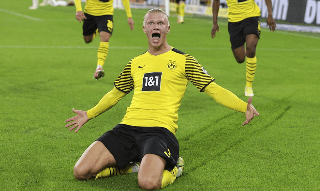 霍芬海姆最近战绩